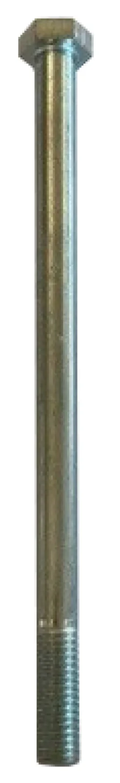 Bolt M10x160MM