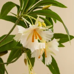 Kunstig Elaeocarpus-blomstertræ 100 cm
