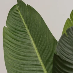 Kunstig grøn plante 120cm