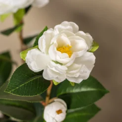 Kunstig kamelia japansk rosetræ hvid 90 cm