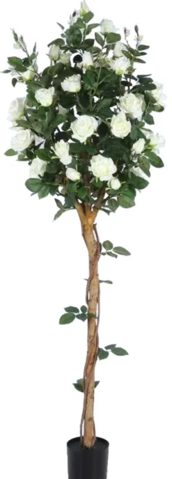 Kunstig Rosetræ hvid 160 cm