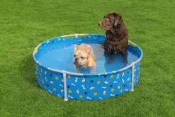 Pool til kæledyr