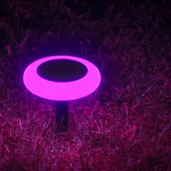 Solcellelampe Torch 10LED